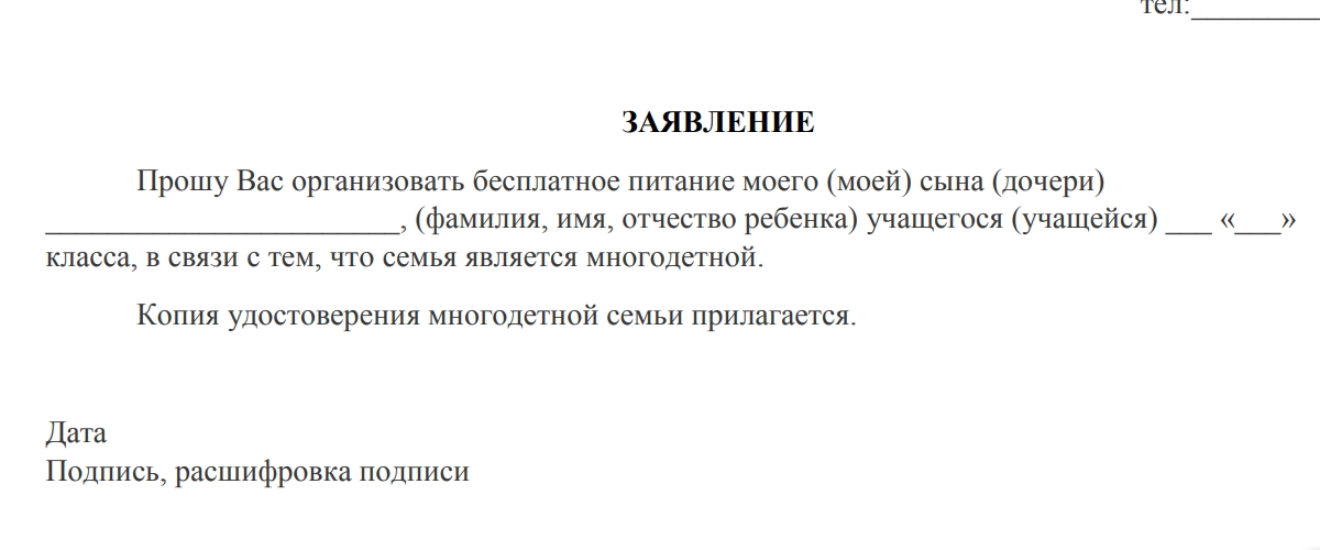 Заявление на бесплатное питание в школе образец многодетным заполненный